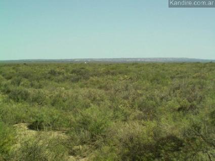 Campo en Mendoza
