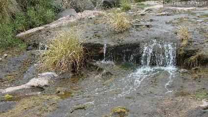Campo en Punta del Agua