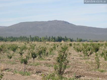 Finca 145 ha Los Claveles