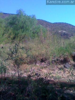 Lote Valle Grande