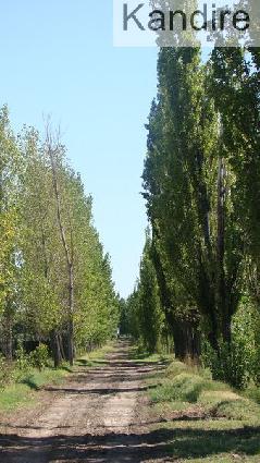 Finca 30ha