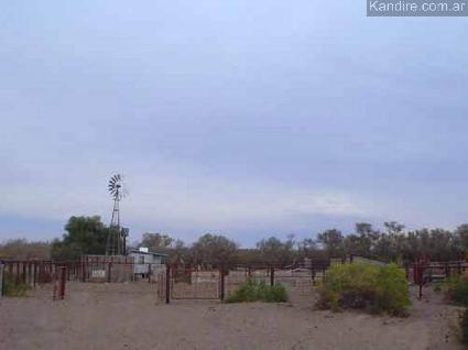 Campo zona Este-San Rafael
