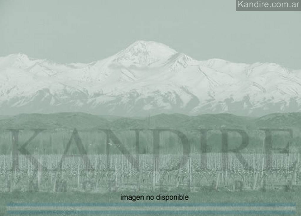Lote Cuadro Benegas
