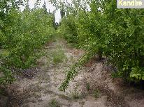 Finca 20 ha excelente