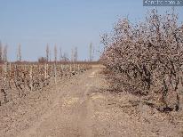 Finca 24 ha Cañada Seca