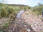 Campos 7.600 ha