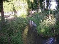Riego finca Colonia Iacarini