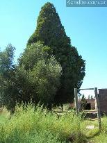 Finca Las Malvinas 54 ha