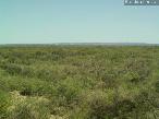 Campo en Mendoza