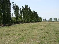 finca