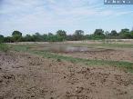 Campo en Catamarca