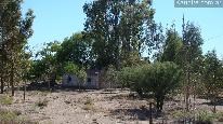 Campos
