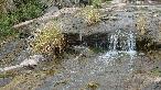 Campo en Punta del Agua