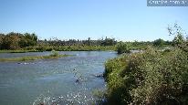 Campos