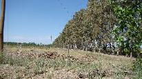 Campo 500 ha - cuadros