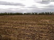Fincas