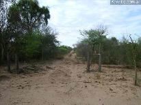 Campos
