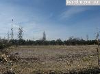 Lote zona Sur