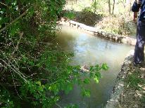 finca