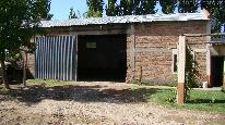 Campo 500 ha - galpón 1