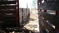 Campo 500 ha- corrales 1