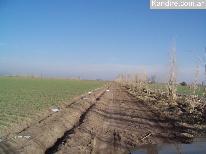Finca 577 ha E