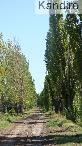 Finca 30ha