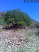 Terreno en Valle Grande