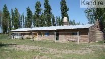 campo