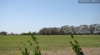 Campo 500 ha- alfalfa 2