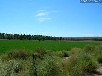Finca Las Malvinas 54 ha