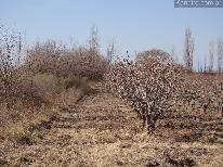 Finca 24 ha Cañada Seca