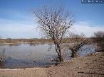 Campo en General Alvear