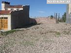 Lote Olivos del Fundador