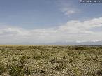 Campo en La Pampa