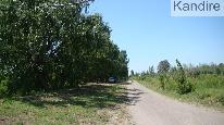 finca