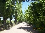 Finca 23 ha en Calle Larga