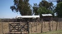 Campo 500 ha - corrales