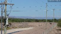 Campos