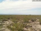 Campo 10.000 ha en Mendoza