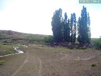 Campos