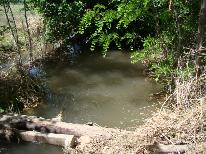 finca