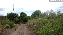Campos