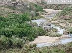 Campo 1000 ha Sierra Comechingones