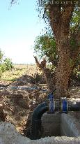 Campo 500 ha - riego 2