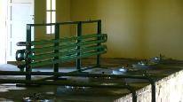 Bodegas