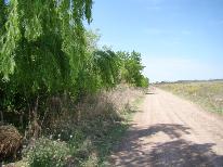 finca